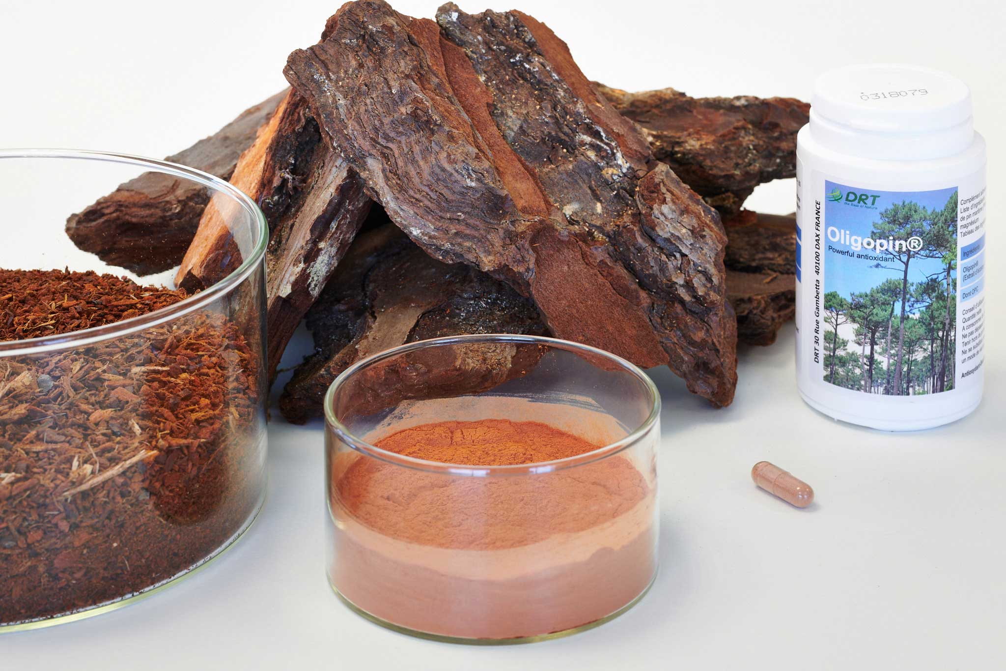 oligopin-cosmythic-extraits-d-ecorce-pin-foret-landes-10